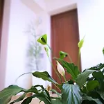 Hotel Perla Gaia 3*